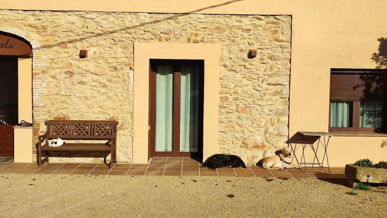 Can Costals Naturaleza Pals Exterior foto